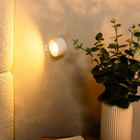 Witte wandlamp brandt met geel licht tegen een gepleisterde muur, naast een witte geribbelde vaas met eucalyptustakken. 14