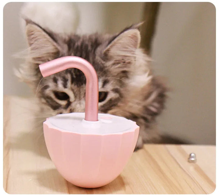 Kattenspeeltje met Laser - LaserChase