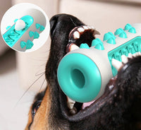 Zahnreinigendes Kau-Spielzeug für Hunde – Chewly