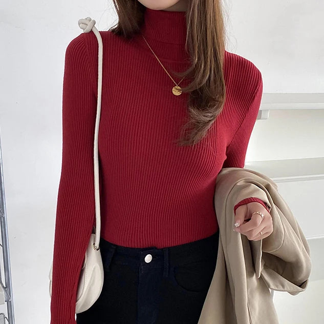 Sara Rollkragenpullover | Weich & trendy