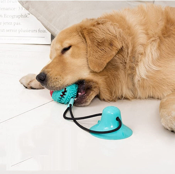 Stevig Hondentrektouw - PlayPaw