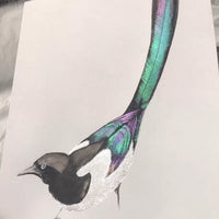 Mehrfarbiges Aquarellfarben-Set - ColorCrafter