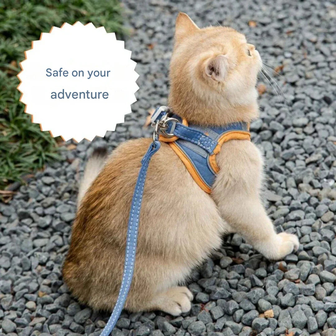 Verstellbares Katzen-Geschirr mit Leine – WhiskerWander
