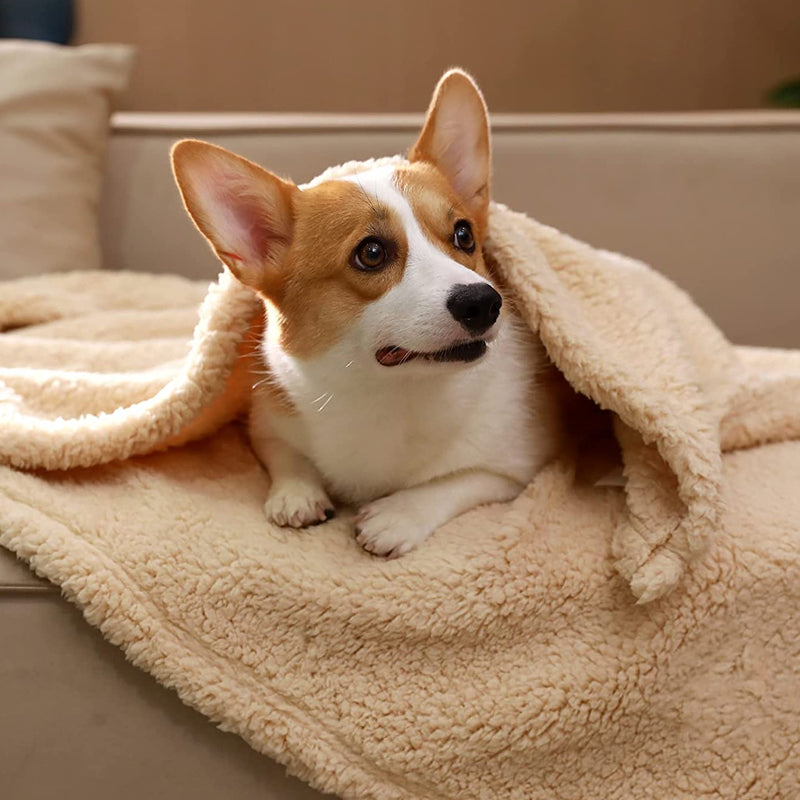 Weiche Welpendecke - SnuggleFur Fleece