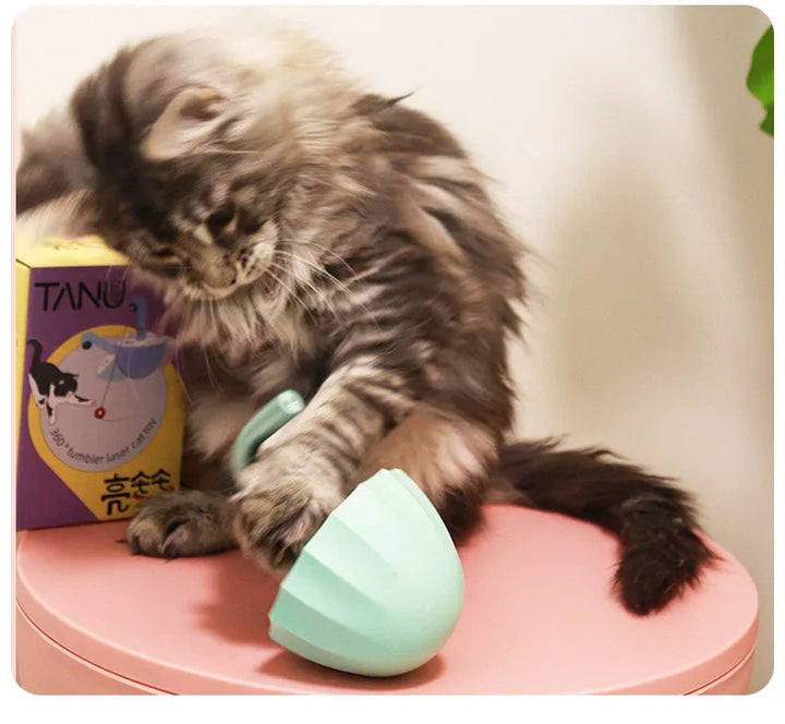 Kattenspeeltje met Laser - LaserChase