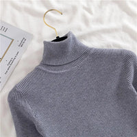 Sara Rollkragenpullover | Weich & trendy