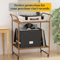 Fireproof Plate Storage Box – Waterproof Storage Box for 150+ 12-Inch Plates – Arcion 