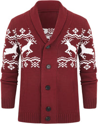 Bequemer gestrickter Herrenpullover - Lucas