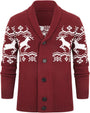 Bequemer gestrickter Herrenpullover - Lucas