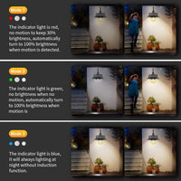 Solar Motion Barn Wall Lights with 3 Modes &amp; Gooseneck Design (2 Pack) – Halden 