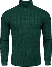 Lässiger Herren-Strickrollkragenpullover - Sander