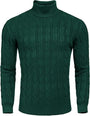 Lässiger Herren-Strickrollkragenpullover - Sander
