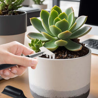 12-in-1 Succulent Tool Set with Storage Bag for Indoor Gardening