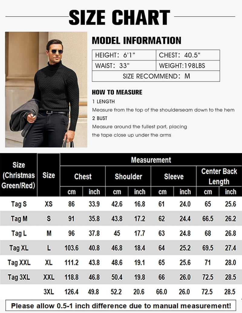 Lässiger Herren-Strickrollkragenpullover - Sander