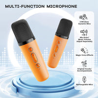 Portable Mini Karaoke Machine with Bluetooth Speaker &amp; 2 Wireless Microphones – Veylo