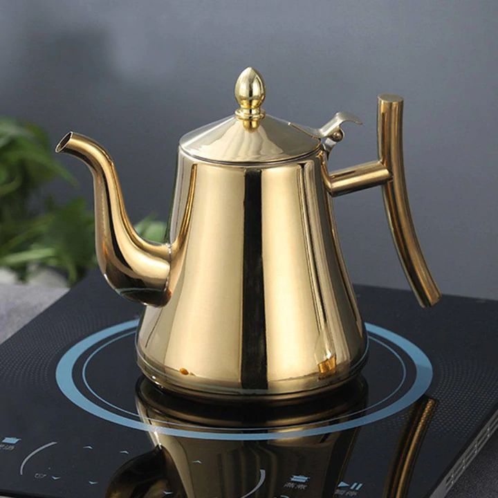 Inductie Waterkoker van Roestvrij Staal met Filter - AquaSteel