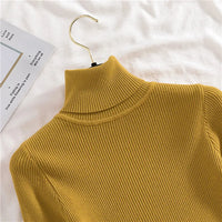 Sara Rollkragenpullover | Weich & trendy