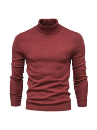 Trendiger Herrenrollkragenpullover - Lars