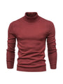 Trendiger Herrenrollkragenpullover - Lars