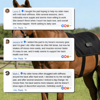 LED Red Light Therapy Back Wrap for Horses 4