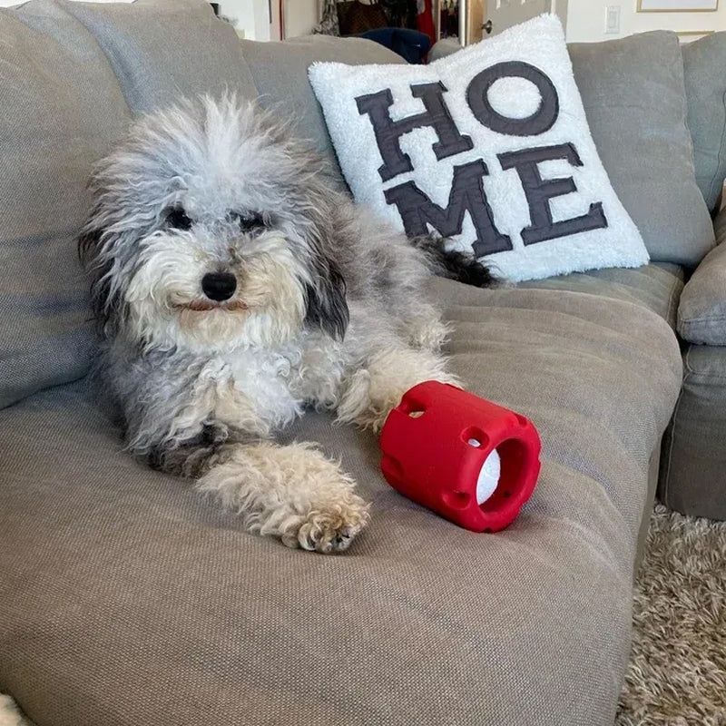 Dental Care Toy for Dogs - BounceChew