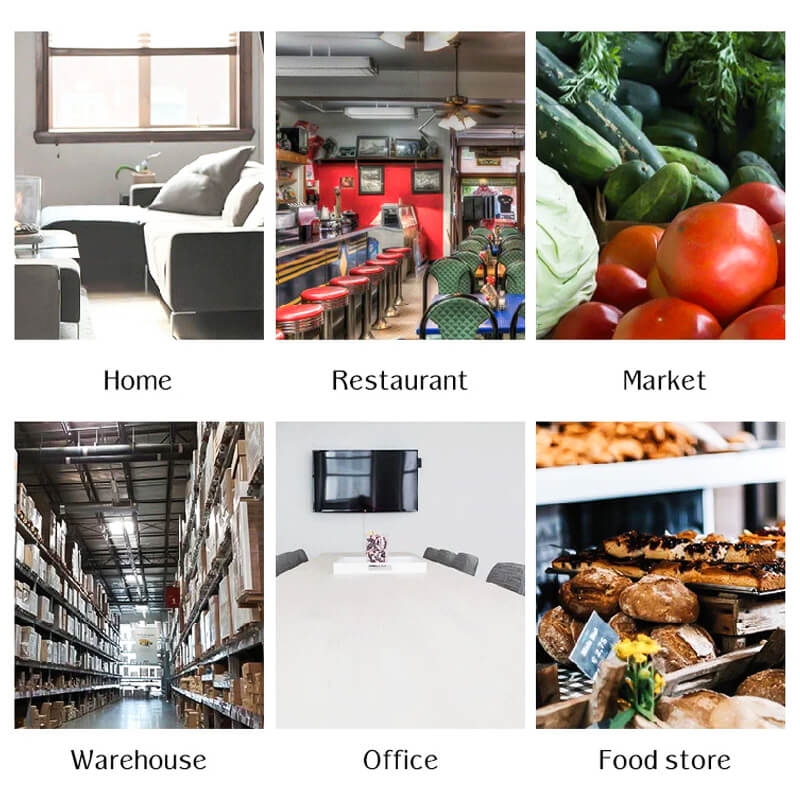 Automatic Mouse Trap - AutoCatch