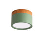 Morandi-Stil moderne LED-Deckenleuchte - LumiModo