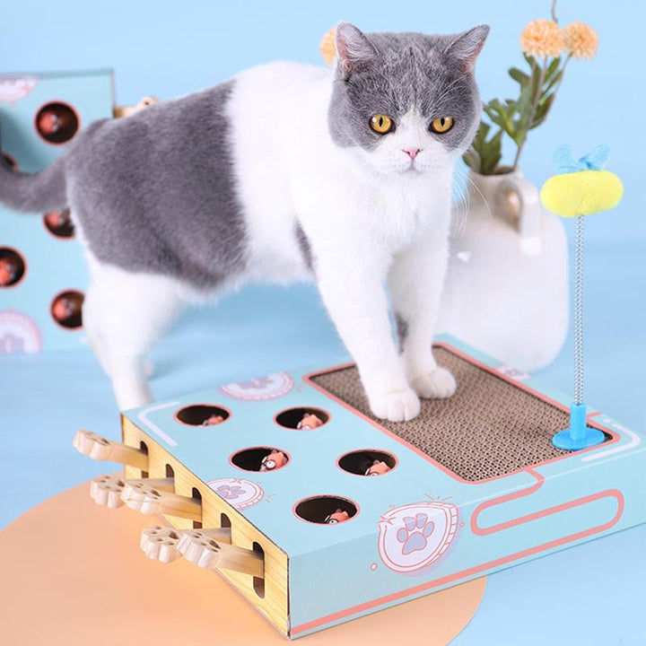 3-in-1 Interactief Kattenspeelgoed - WhiskerPlay