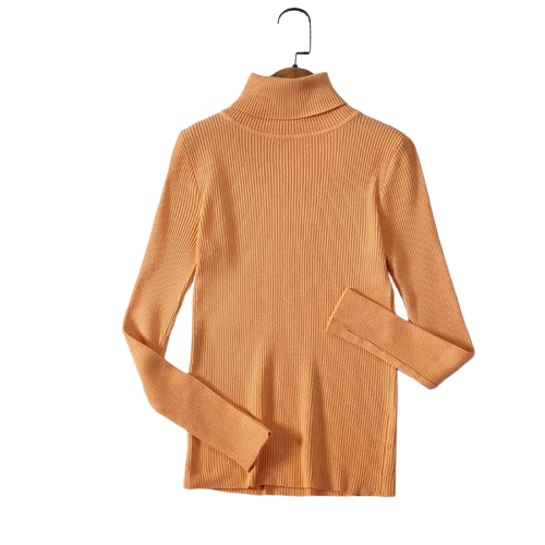 Stijlvolle Sweater voor dames