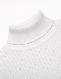 Lässiger Herren-Strickrollkragenpullover - Sander
