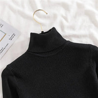 Sara Rollkragenpullover | Weich & trendy