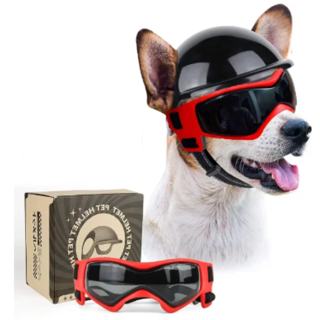 Dog Helmet and Goggles - RiderPaw