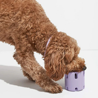 Dental Care Toy for Dogs - BounceChew