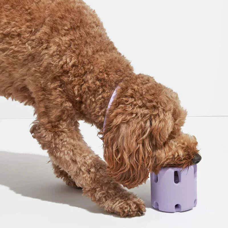 Dental Care Toy for Dogs - BounceChew