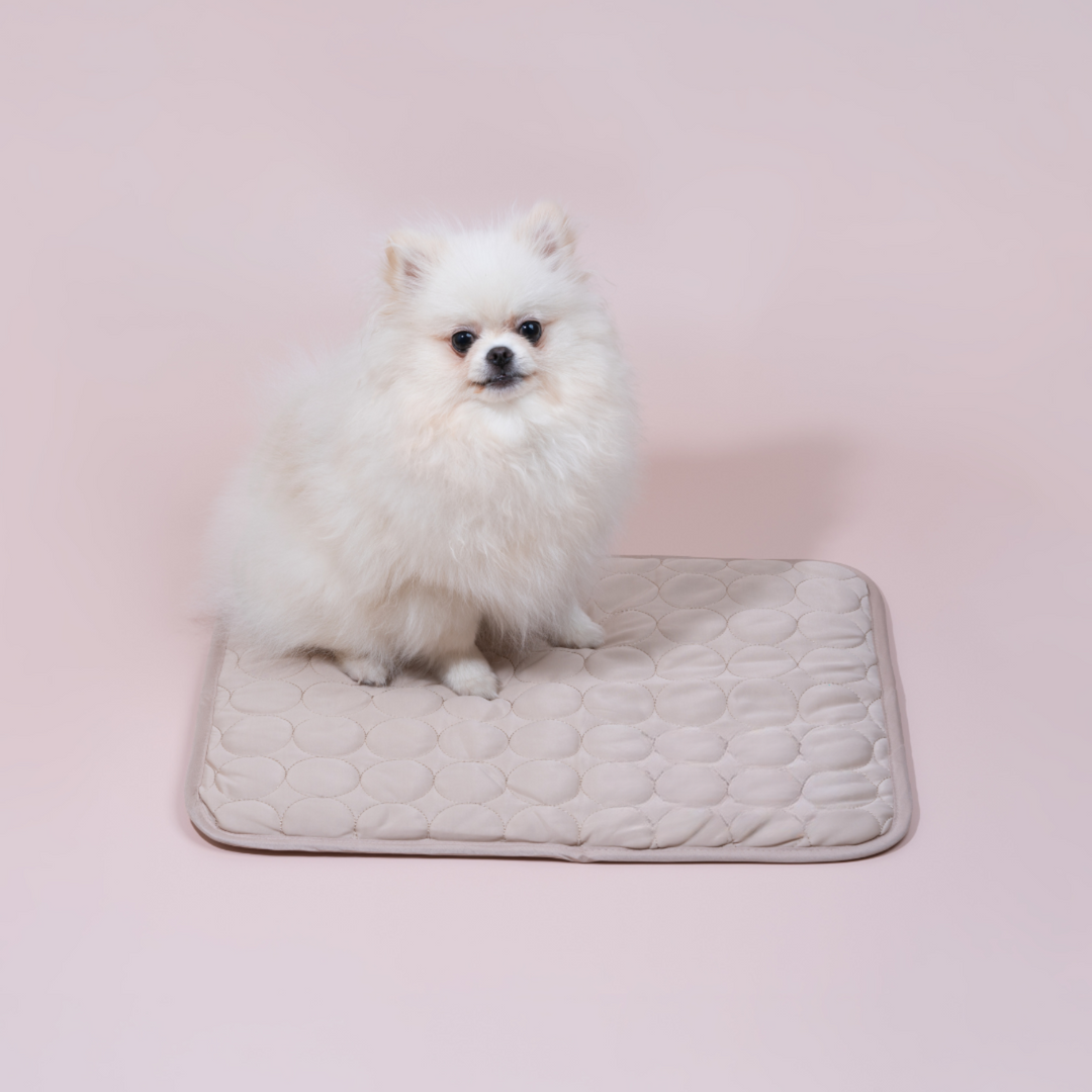 Innovatieve Koelmat voor Honden (4x Koelvermogen) - ChillComfort