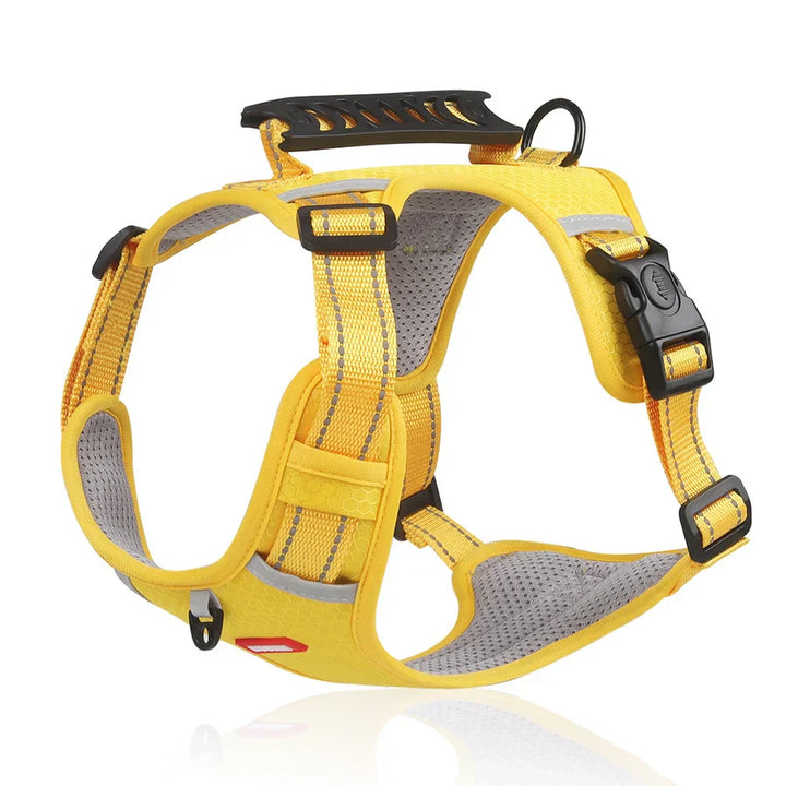 Robustes & bequemes Hundegeschirr - ActivePup™