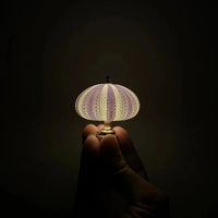 DIY Seeigel-Nachtlicht - LumiUrchin