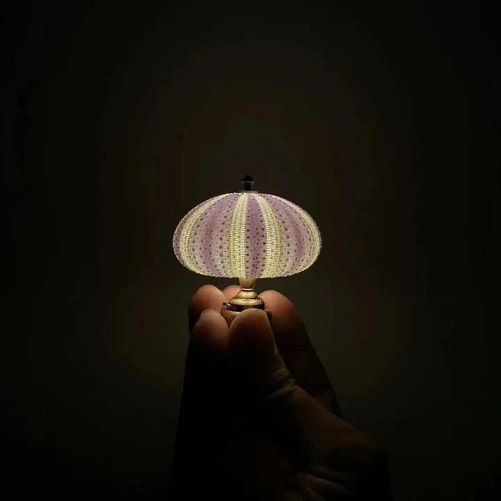 DIY Seeigel-Nachtlicht - LumiUrchin