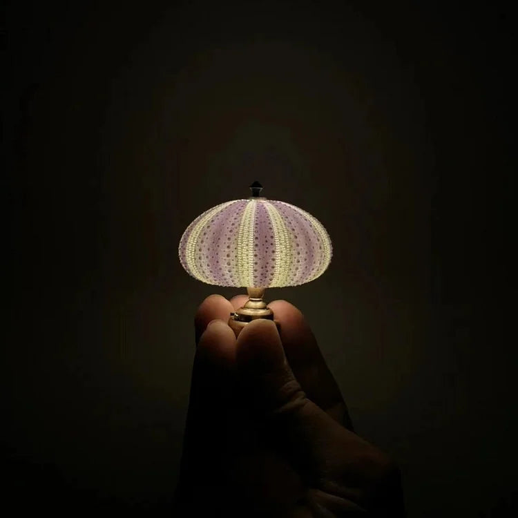 DIY Seeigel-Nachtlicht - LumiUrchin
