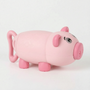 Animal Shaped Water Toy - Founta