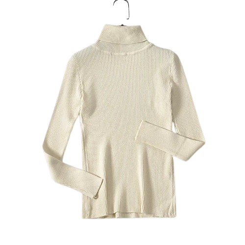 Stijlvolle Sweater voor dames