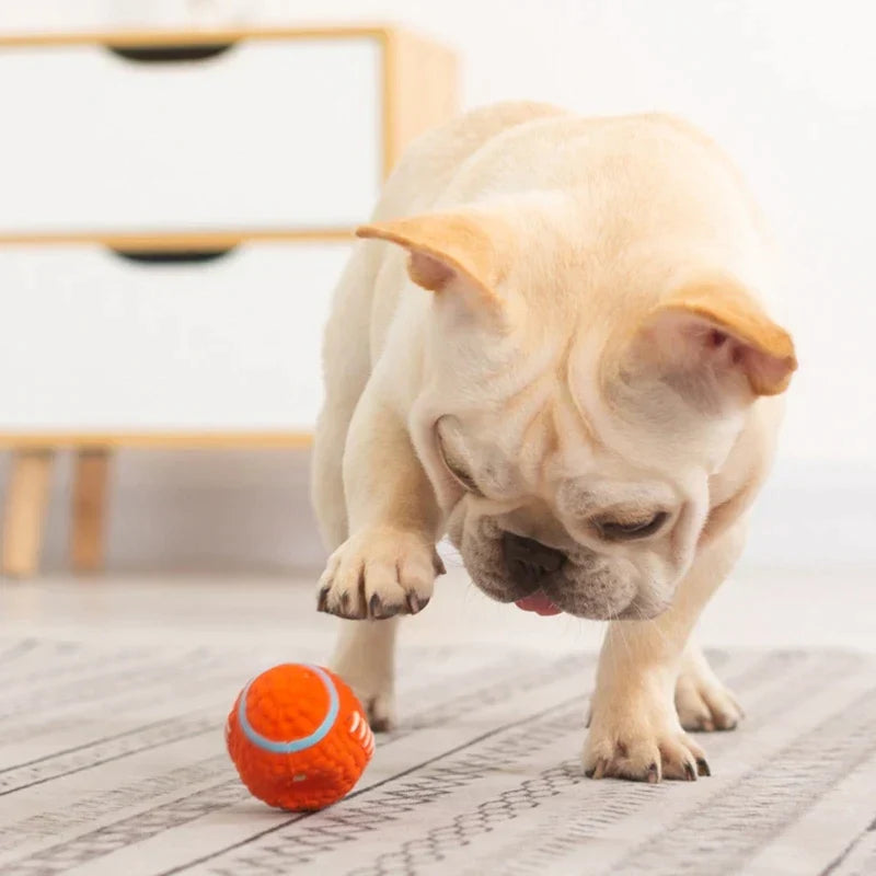 The Indestructible Playmate for Dogs - KryptoChew