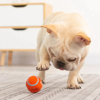 The Indestructible Playmate for Dogs - KryptoChew