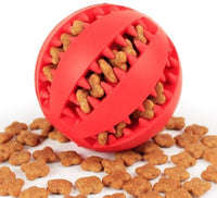 Indestructible interactive dog toy | Fun & educational