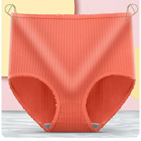 Lekvrij Ondergoed met Hoge Taille – Camille (8-pack)