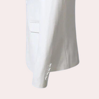 Klassischer Herrenblazer - Ariston