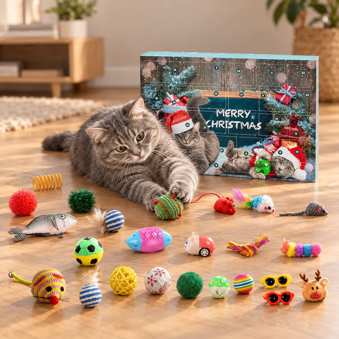 Grijze kat ligt op een houten vloer te spelen met een balletje, naast de adventskalenderdoos en de uitgestalde kleurrijke speeltjes. 1