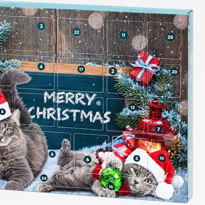 Close-up van de rechterhoek van de doos met genummerde vakjes, kerstversiering, een lantaarn en twee katten met kerstmutsen. 3