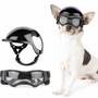 Hundehelm und Brille - RiderPaw
