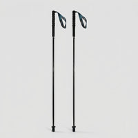 Collapsible Carbon Fibre Trekking Pole -  Alpinex